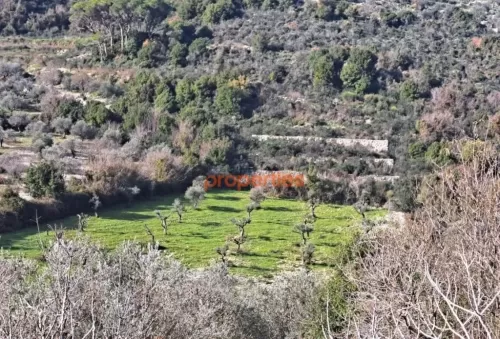 Γη Έτοιμο ακίνητο Γη Μικτής Χρήσης  προς πώληση σε Byblos , Byblos #44756 - 1  image 