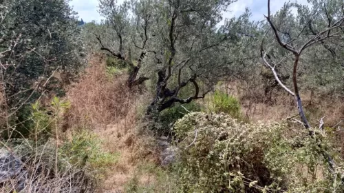 Γη Έτοιμο ακίνητο Γη Μικτής Χρήσης  προς πώληση σε Κεσρουάν #46258 - 1  image 