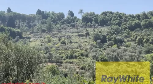 Land Ready Property Mixed Use Land  for sale in Byblos #46354 - 1  image 