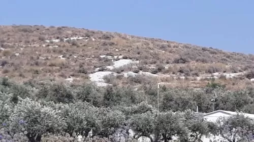 Land Ready Property Mixed Use Land  for rent in Koura #47412 - 1  image 