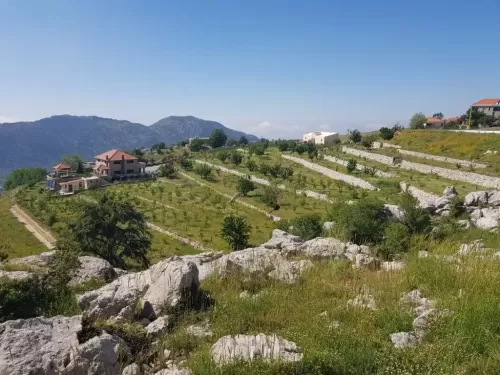 Land Klaar eigendom Land mit gemischter Nutzung  zu verkaufen in Byblos #47504 - 1  image 