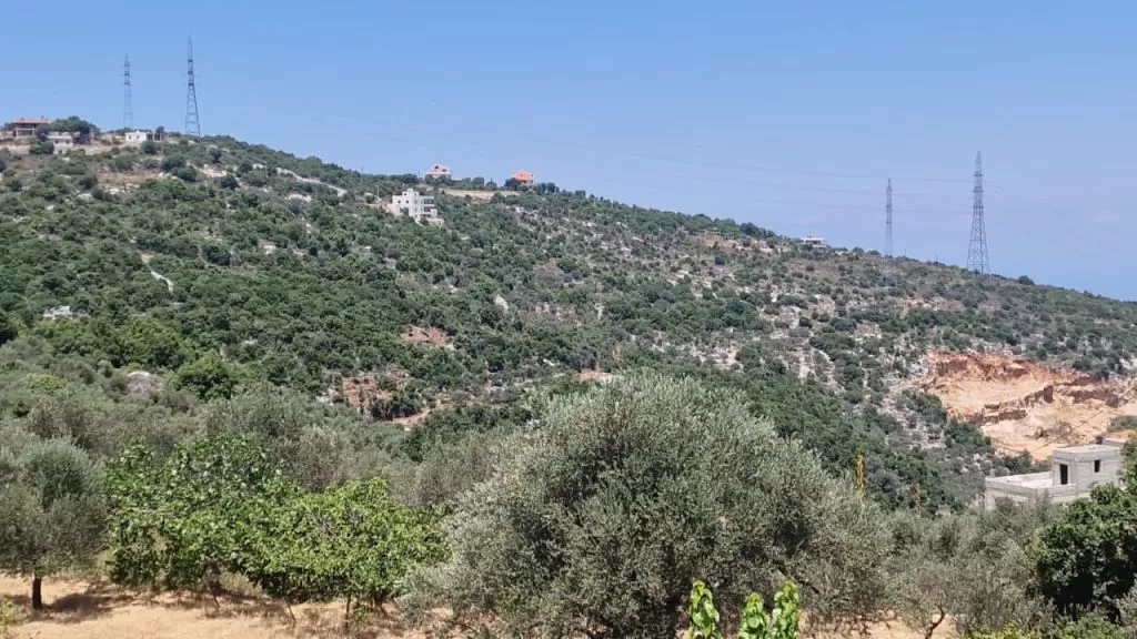 Γη Έτοιμο ακίνητο Γη Μικτής Χρήσης  προς πώληση σε Μπατρούν #47703 - 1  image 