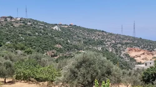 Γη Έτοιμο ακίνητο Γη Μικτής Χρήσης  προς πώληση σε Μπατρούν #47703 - 1  image 