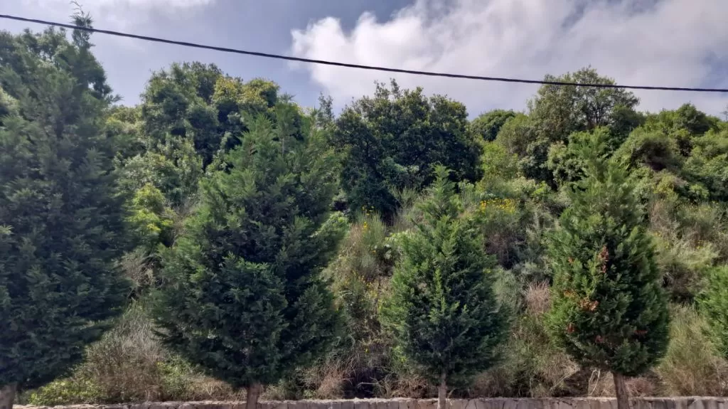 Land Ready Property Mixed Use Land  for sale in Batroun , Batroun #47705 - 1  image 