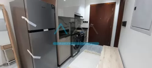 Residential Ready Property Studio U/F Apartment  for sale in Dubai Silicon Oasis , Dubai #48239 - 1  image 