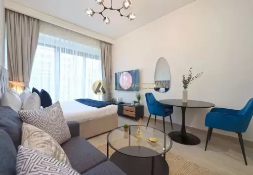 Wohn Klaar eigendom Studio F/F Wohnung  zu vermieten in Meydan , Dubai #48889 - 1  image 