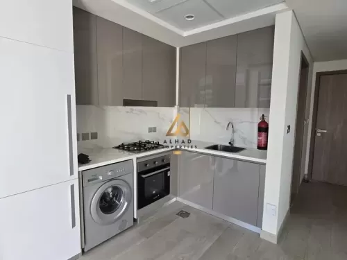 Résidentiel Propriété prête 2 chambres U / f Appartement  a louer au Meydan , Dubai #49967 - 1  image 