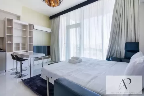 Résidentiel Propriété prête Studio F / F Appartement  a louer au Dubai #50946 - 1  image 