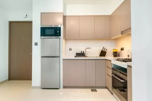 Résidentiel Propriété prête 1 chambre F / F Appartement  a louer au Centre-ville de Dubaï , Dubai #51088 - 1  image 