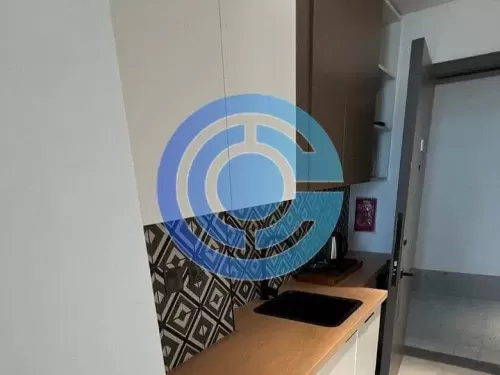 Résidentiel Propriété prête Studio F / F Appartement  à vendre au Dubai #52541 - 1  image 