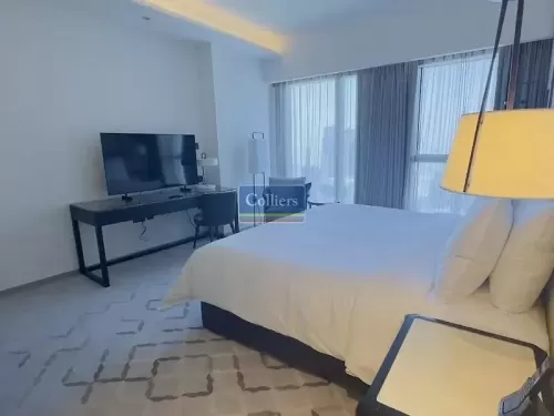 Résidentiel Propriété prête 2 chambres F / F Appartement  a louer au Dubai #52769 - 1  image 