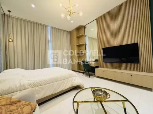 Résidentiel Propriété prête Studio F / F Appartement  a louer au Dubai #52960 - 1  image 