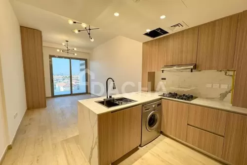 Residential Ready Property Studio F/F Apartment  for rent in Dubai #53194 - 1  image 