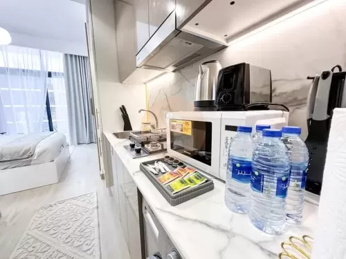 Résidentiel Propriété prête Studio F / F Appartement  a louer au Dubai #54367 - 1  image 