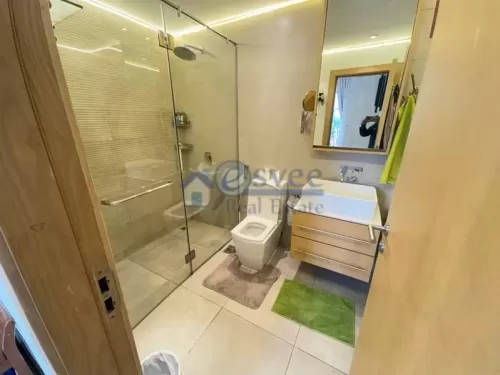 Wohn Klaar eigendom 3 Schlafzimmer U/F Wohnung  zu verkaufen in Dubai #54805 - 1  image 