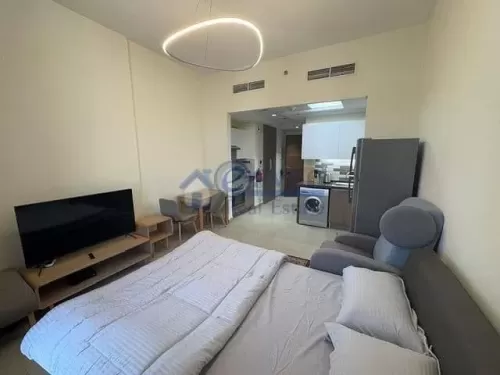 Résidentiel Propriété prête Studio F / F Appartement  à vendre au Dubai #54816 - 1  image 