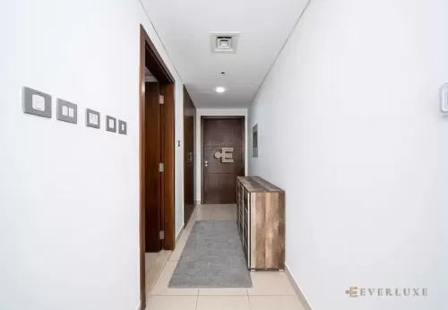 Residential Ready Property Studio F/F Apartment  for rent in Dubai #55245 - 1  image 