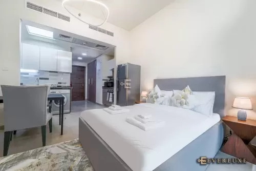 Residential Ready Property Studio F/F Apartment  for rent in Dubai #55249 - 1  image 