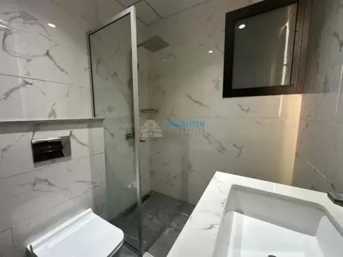 Résidentiel Propriété prête Studio F / F Appartement  à vendre au Dubai #55539 - 1  image 