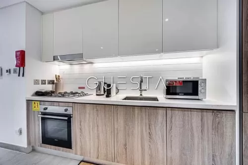 Résidentiel Propriété prête Studio U / f Appartement  a louer au Dubai #57084 - 1  image 