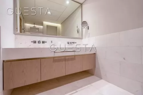 Résidentiel Propriété prête Studio F / F Appartement  a louer au Dubai #57102 - 1  image 