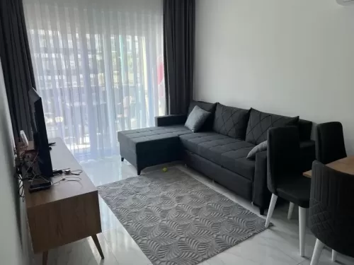 Résidentiel Propriété prête 1 chambre F / F Appartement  à vendre au Kestel , Bursa #57354 - 1  image 