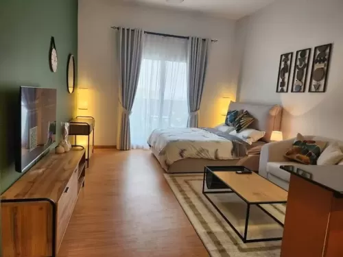 Résidentiel Propriété prête Studio F / F Appartement  a louer au Dubai #57499 - 1  image 