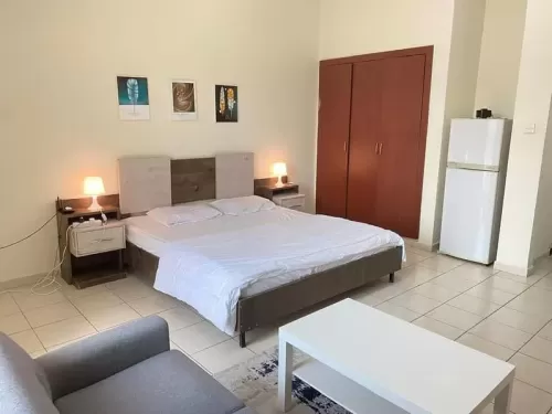 Résidentiel Propriété prête Studio F / F Appartement  a louer au Dubai #57510 - 1  image 