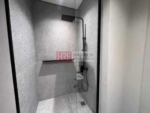 Residential Ready Property Studio F/F Apartment  for rent in Dubai #58019 - 1  image 