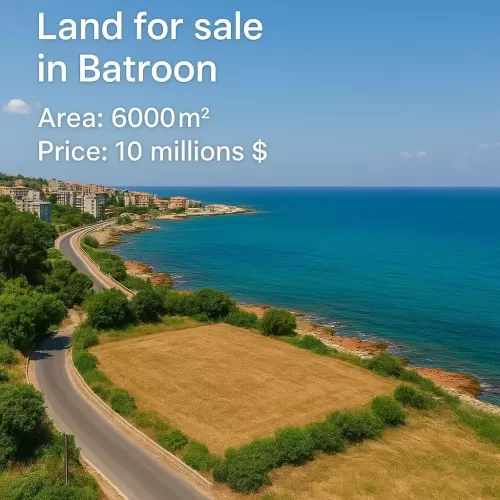 Kara Hazır Mülk Karma Kullanım Arazisi  satılık içinde Batron , Batron #60821 - 1  image 